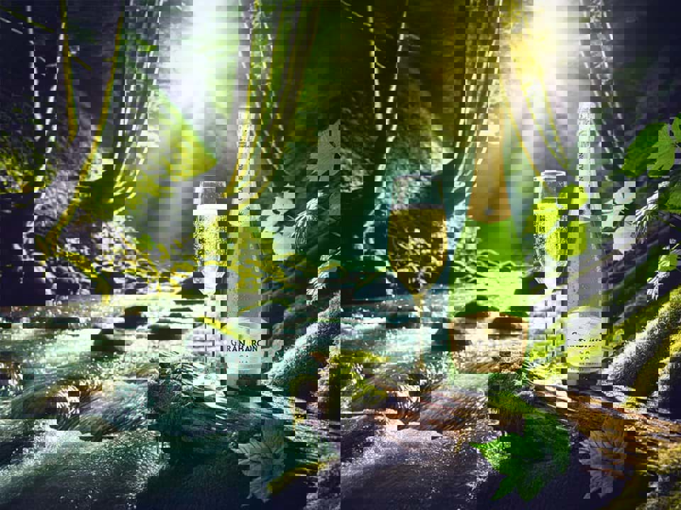 Nhiệt độ lý tưởng để phục vụ vang trắng 