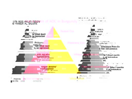 Phân hạng rượu vang vùng Burgundy 4 cấp