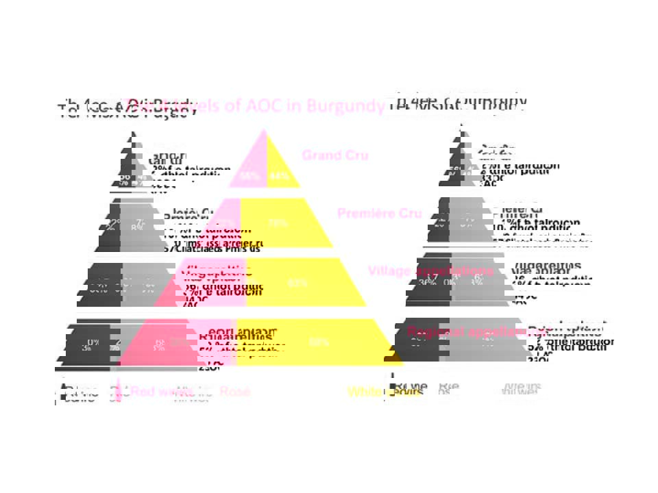 Phân hạng rượu vang vùng Burgundy 4 cấp