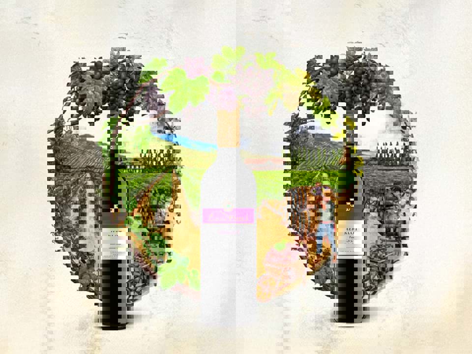 IGP trên nhãn chai vang là gì? 