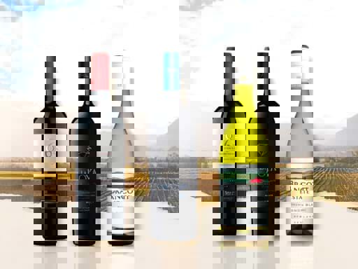 Những ghi chú trên nhãn chai rượu vang và những gì bạn cần biết về chúng