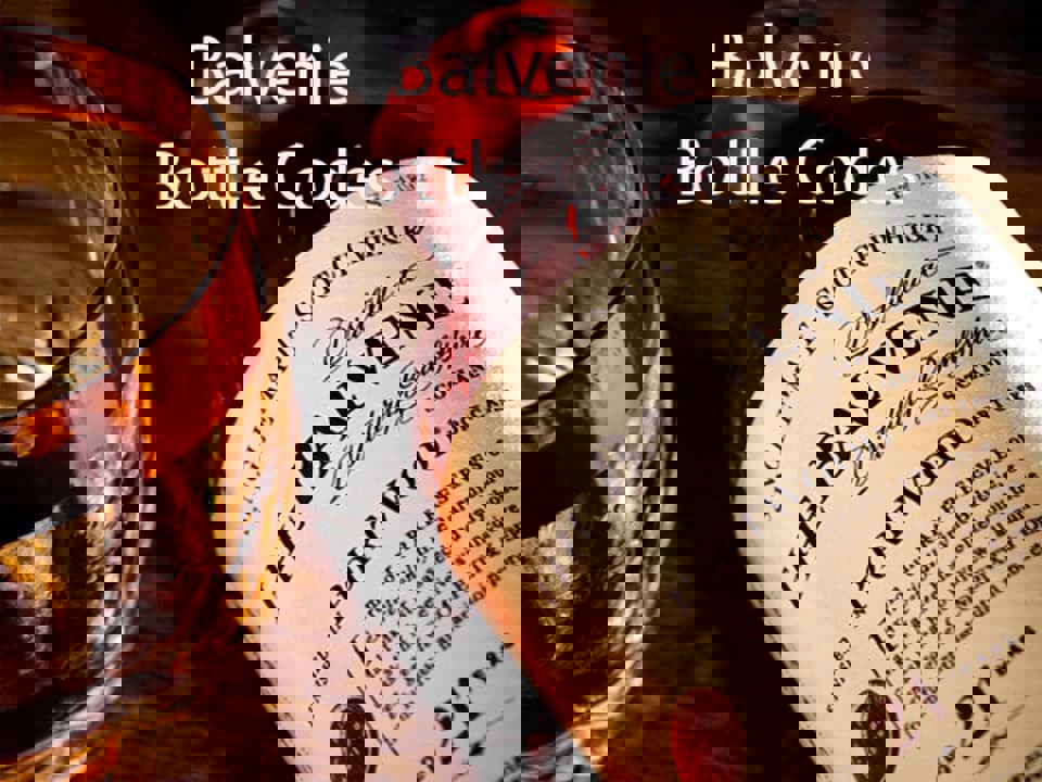 Chọn rượu cho bữa tiệc hải sản