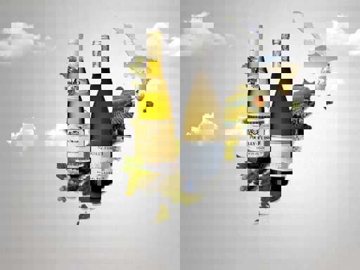 Sự khác nhau giữa Pouilly-fume và Pouilly-fuisse là gì? 