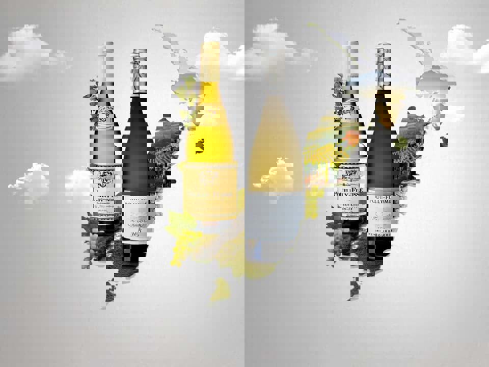 Sự khác nhau giữa Pouilly-fume và Pouilly-fuisse là gì? 