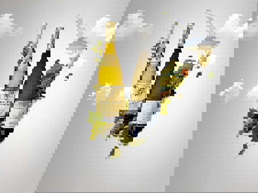 Sự khác nhau giữa Pouilly-fume và Pouilly-fuisse là gì? Sự khác nhau giữa Pouilly-fume và Pouilly-fuisse là gì?