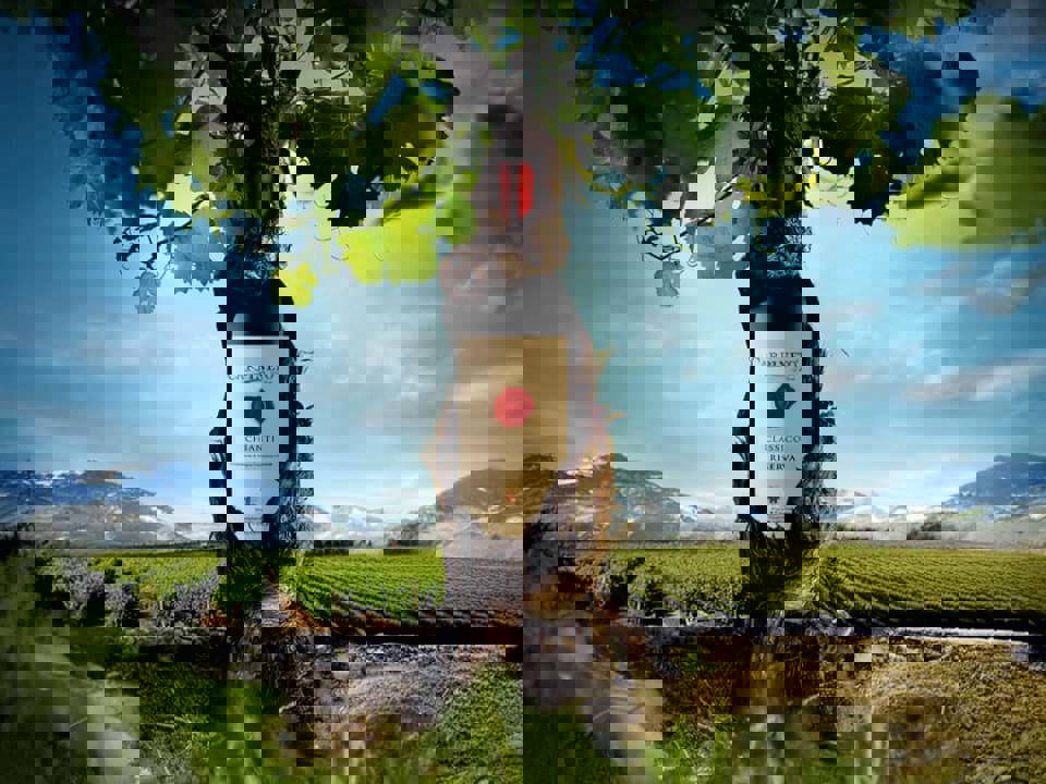 Classico trên nhãn chai vang có ý nghĩa gì? 