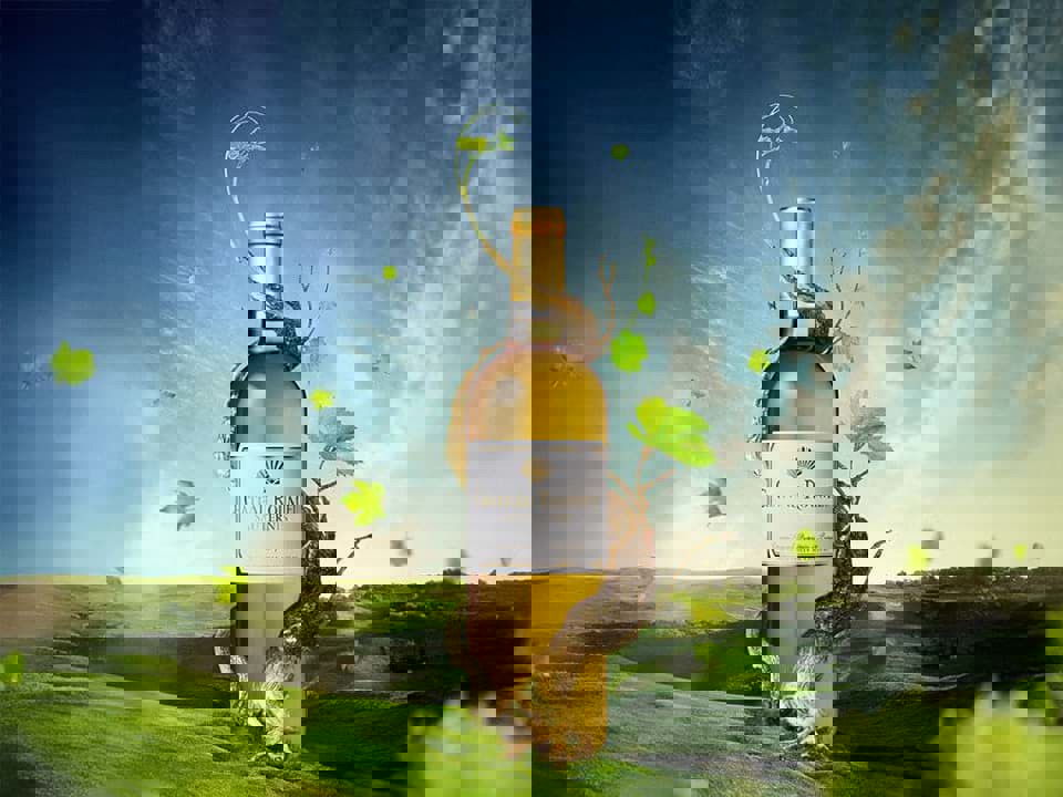 Vang tráng miệng/ Dessert wine là gì? 