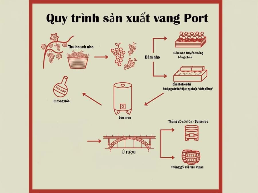 Quy trình sản xuất rượu vang Port