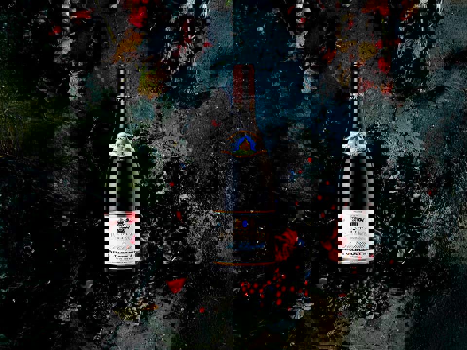 Rượu vang Hermitage là gì?