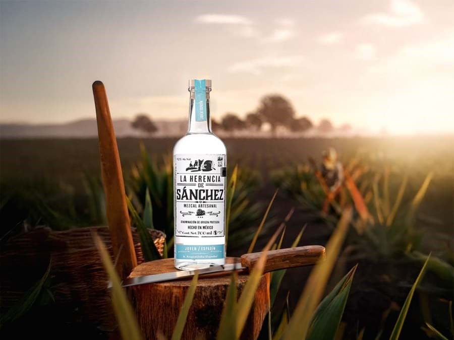 Quy trình sản xuất rượu Mezcal 