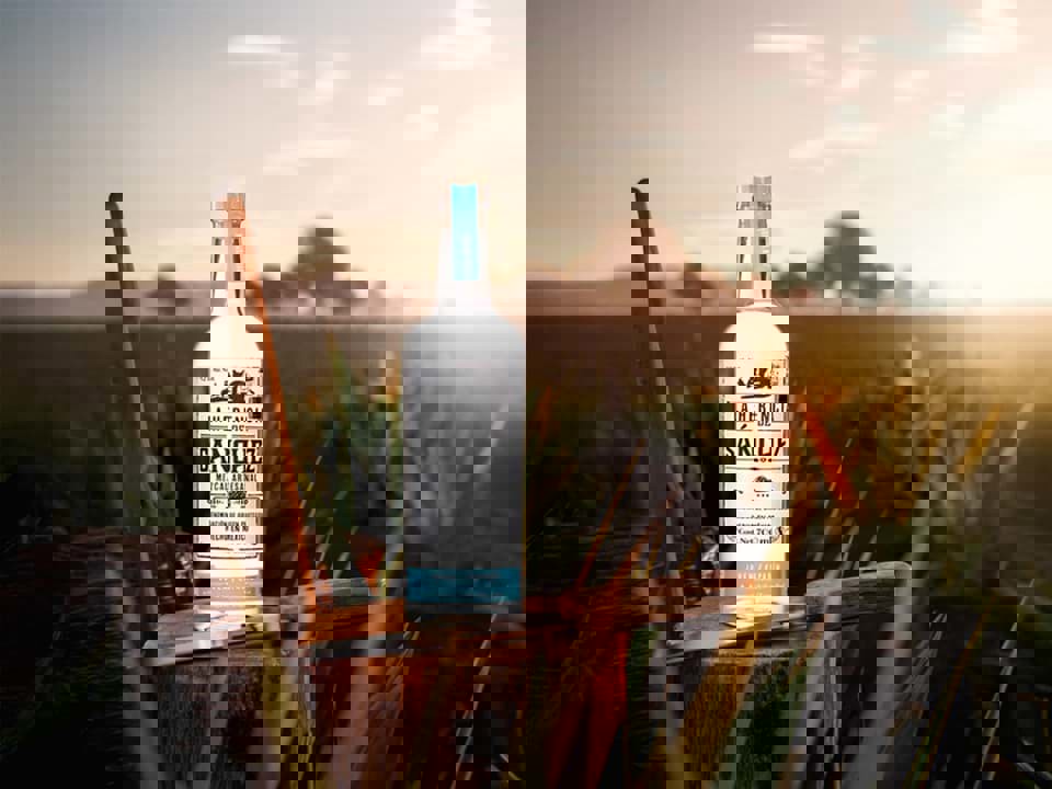 Quy trình sản xuất rượu Mezcal 