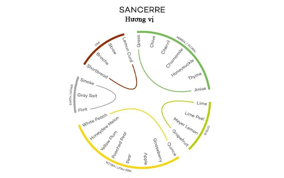 Hương vị rượu Sancerre 