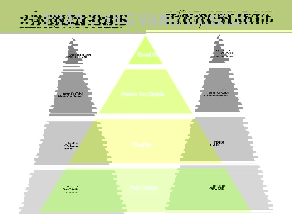 Hệ thống phân loại rượu vang Chablis 