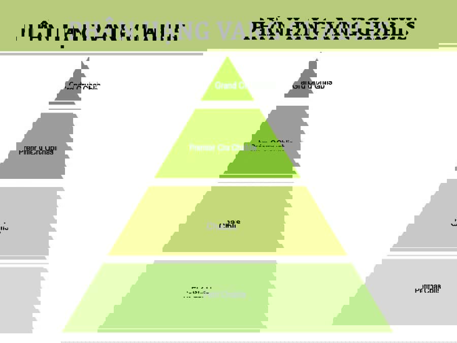 Hệ thống phân loại rượu vang Chablis Hệ thống phân loại rượu vang Chablis