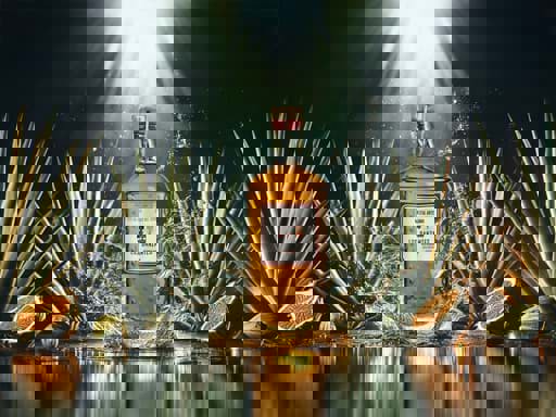 Các loại rượu Mezcal 