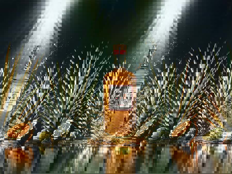 Các loại rượu Mezcal Các loại rượu Mezcal