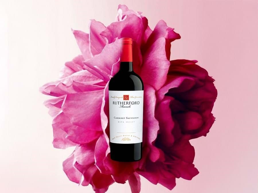 Vì sao các nhà sản xuất rượu vang & người yêu rượu say mê Cabernet Sauvignon