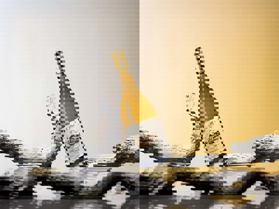 Khám phá dòng rượu vang Vourvray 