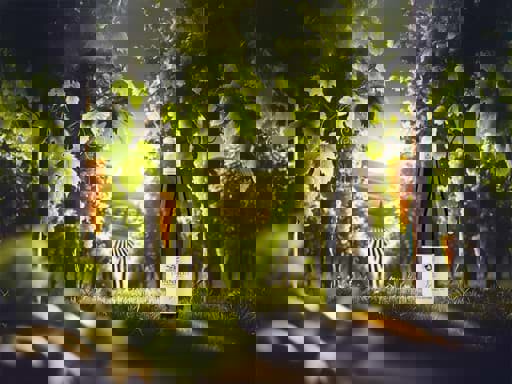 Phân loại Grosses Gewachs/GG vang Đức 