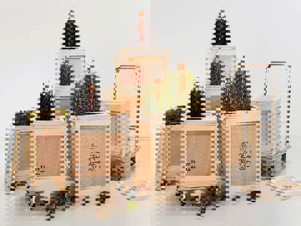 Bộ sưu tập Hennessy Paradis x Loewe