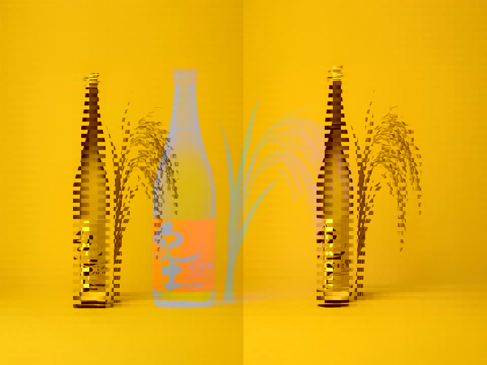 Các loại gạo làm rượu Sake 