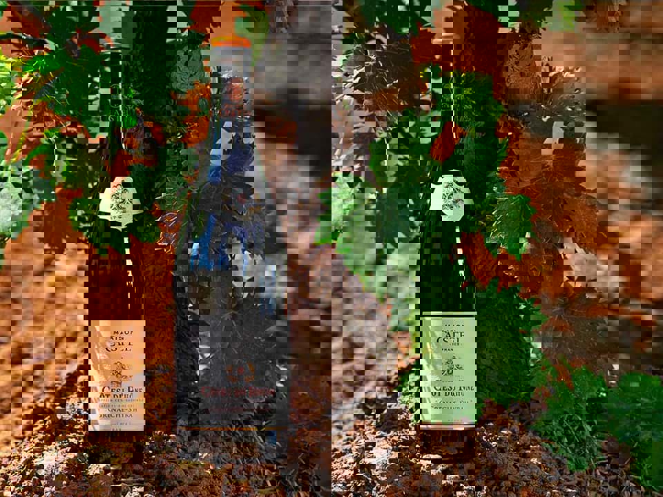 Maison trên nhãn chai vang là gì? 