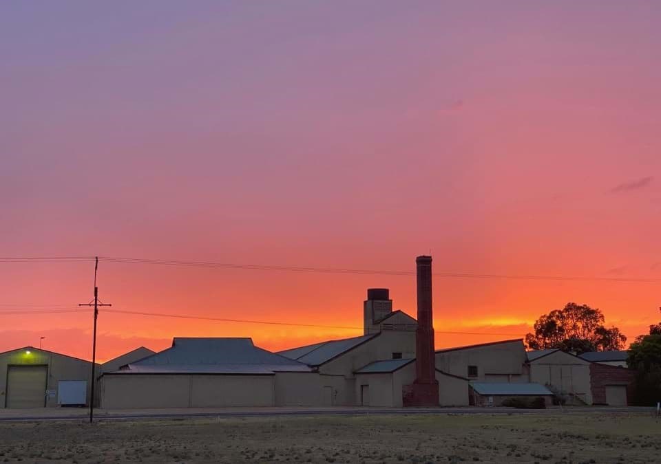 Bleasdale winery