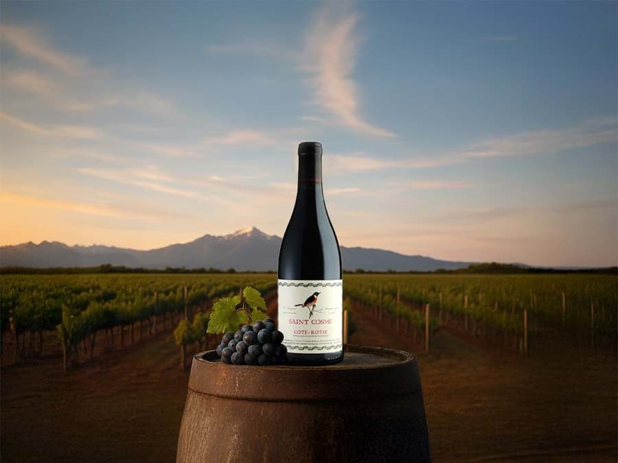 Chateau de Saint Cosme