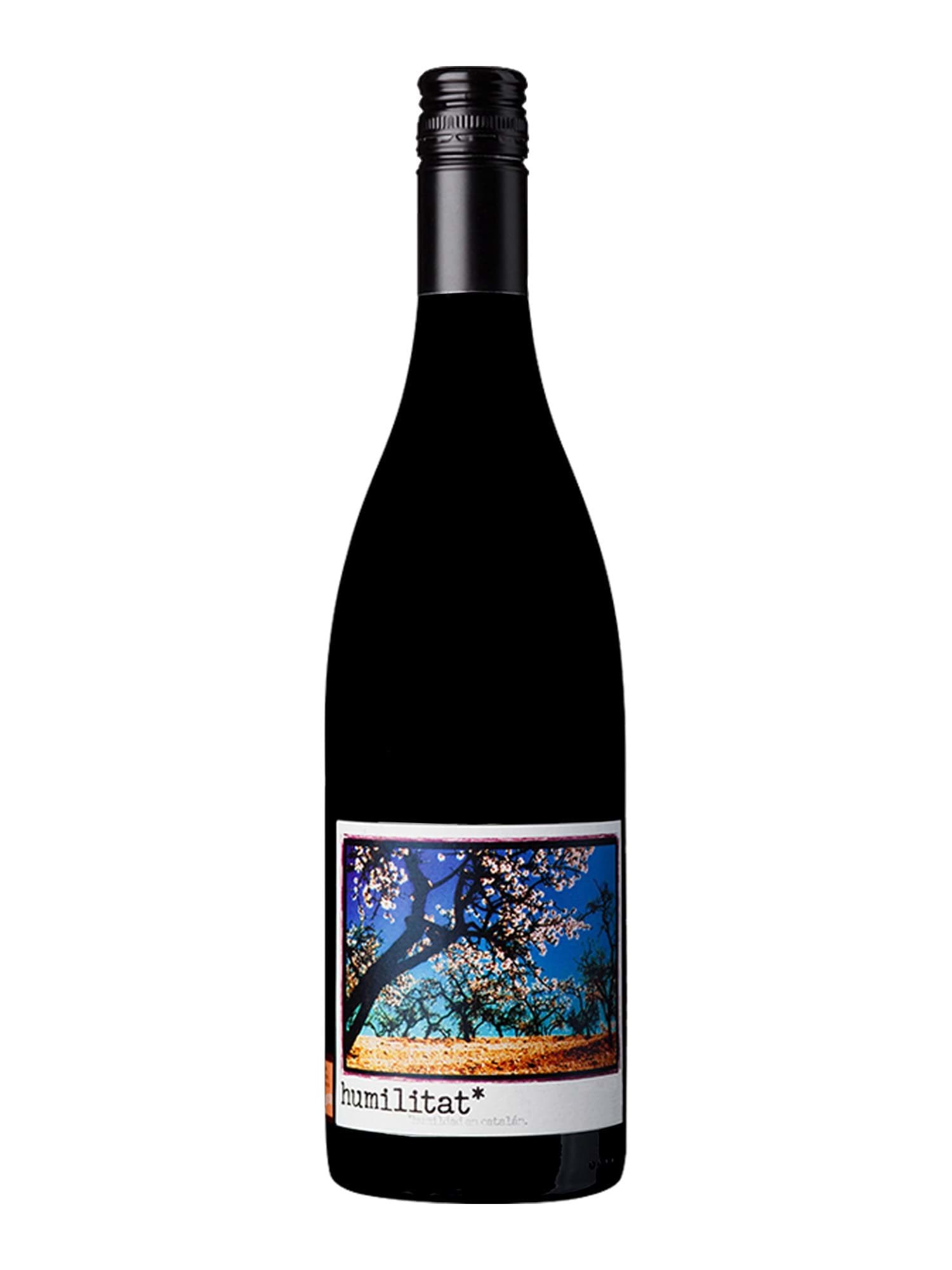 Franck Massard Humilitat Priorat