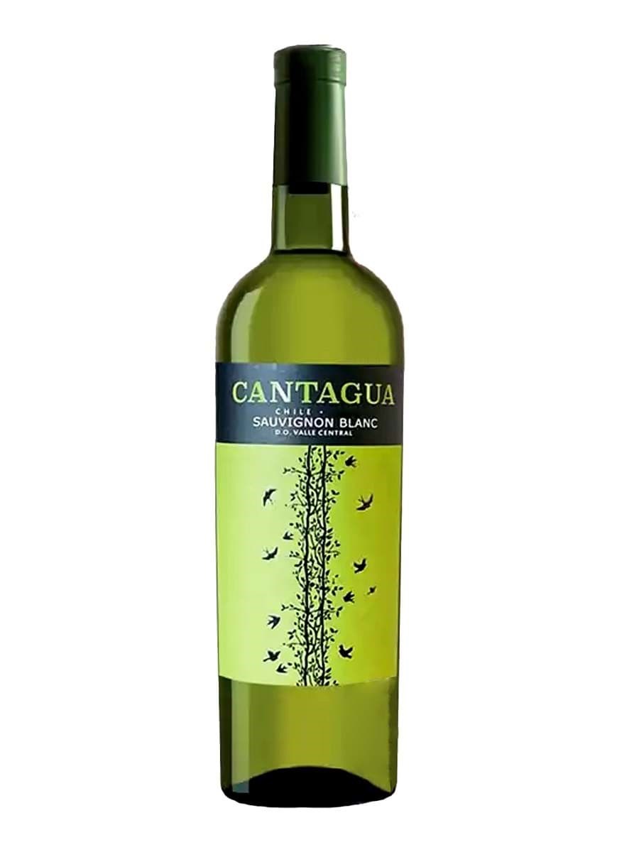Cantagua Sauvignon Blanc