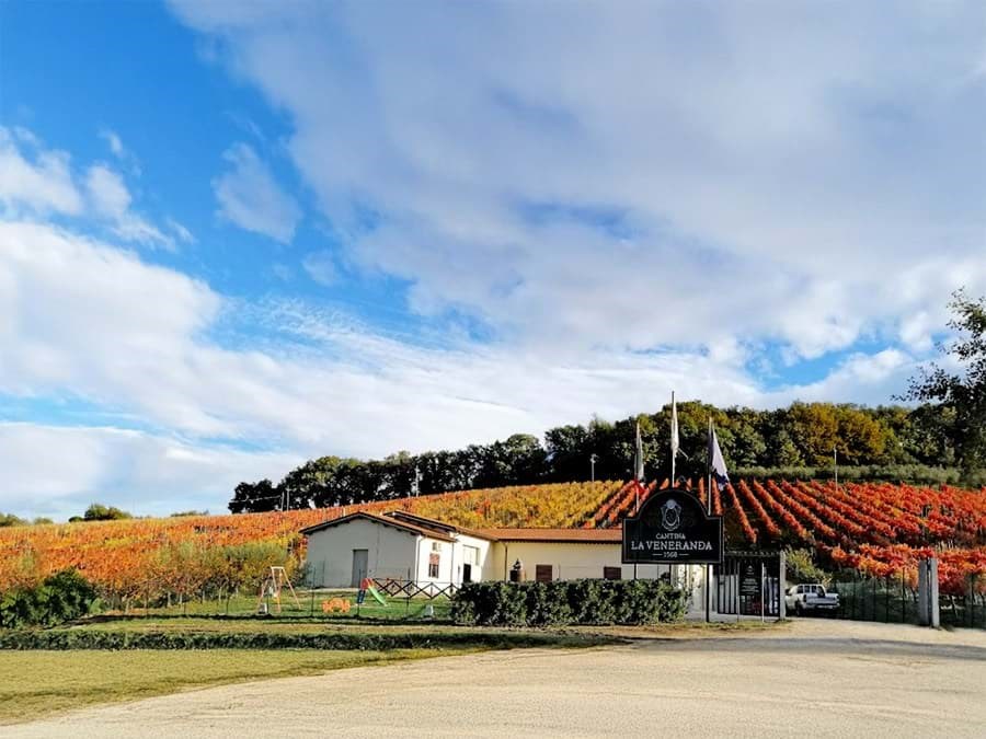 La Veneranda winery