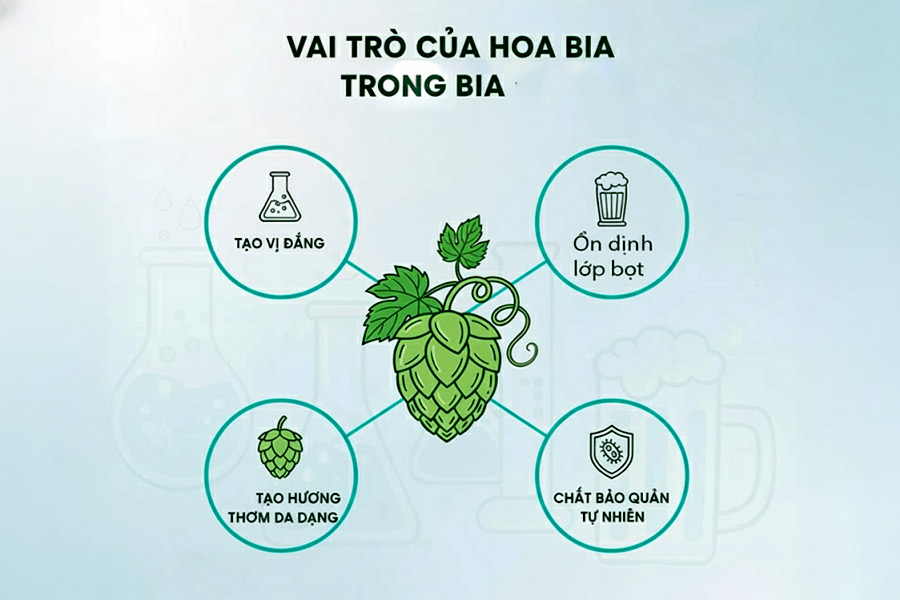 Vai trò của hoa bia 