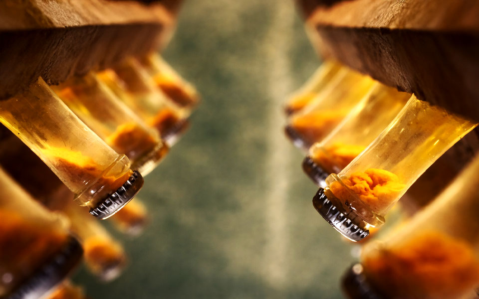 Ủ trên lees/cặn men – Bí quyết góp phần tạo nên chiều sâu và kết cấu rượu vang