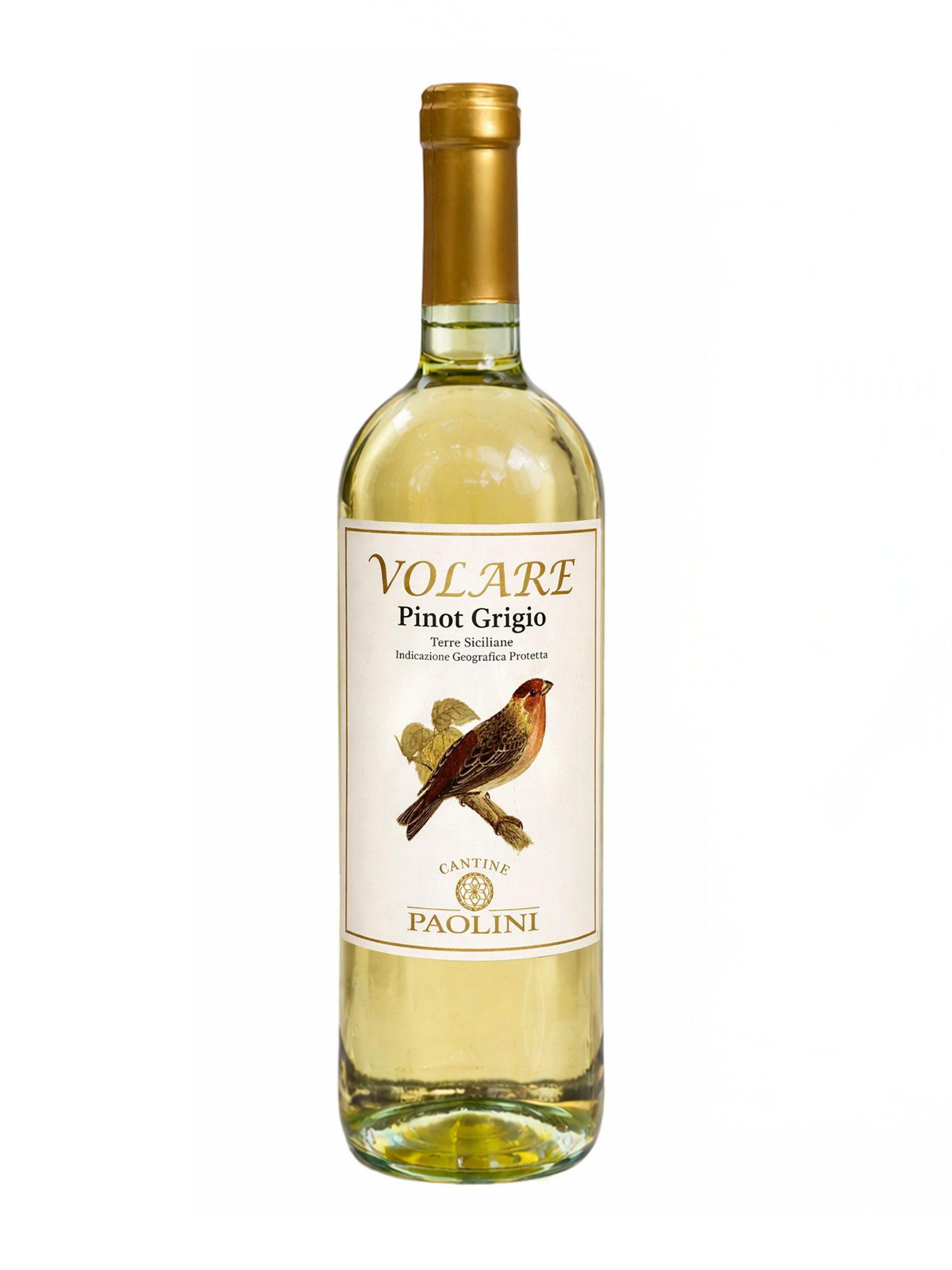 Paolini Volare Pinot Grigio White 