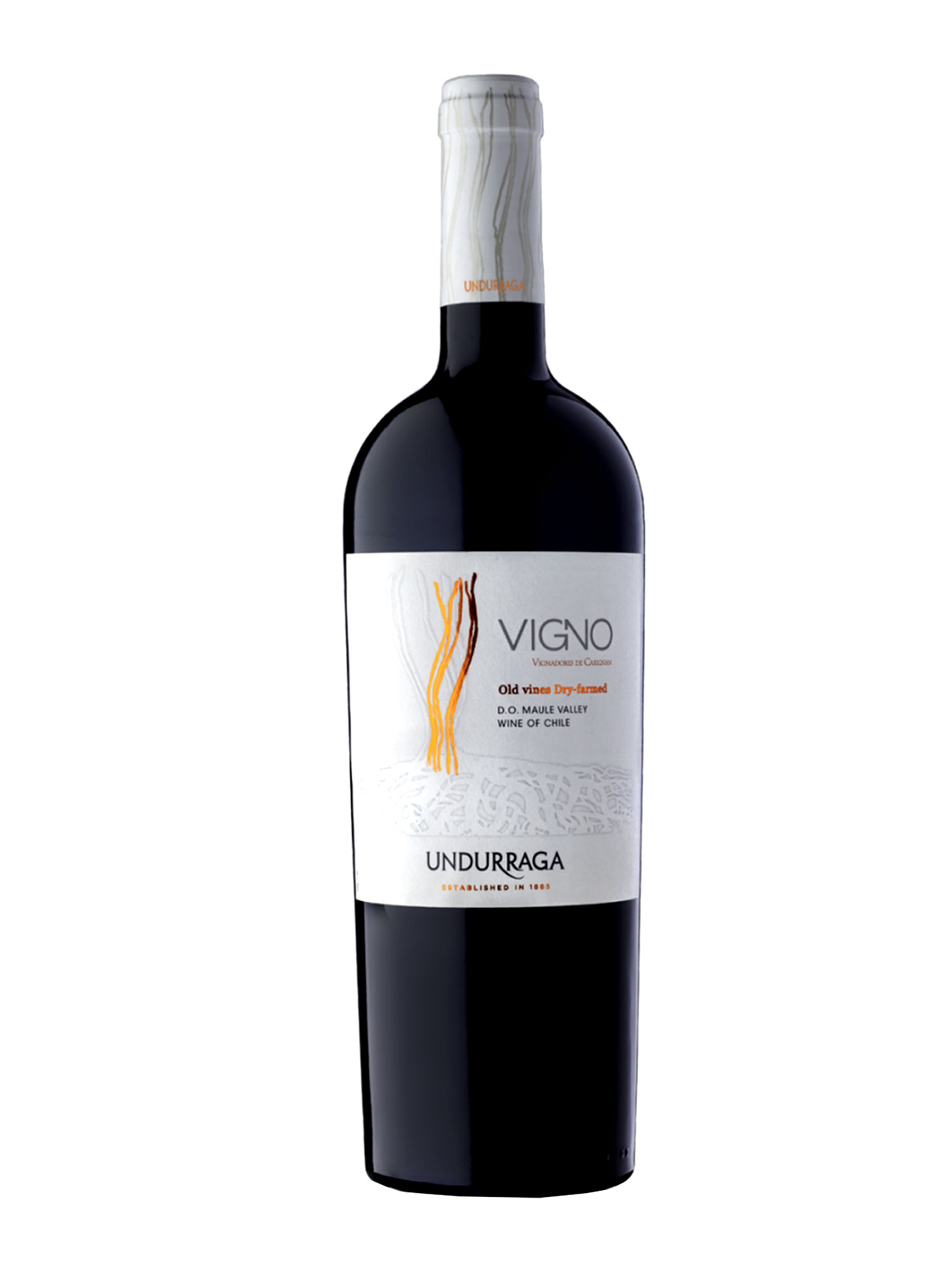 Vigno Old vines Dry-farmed Carignan