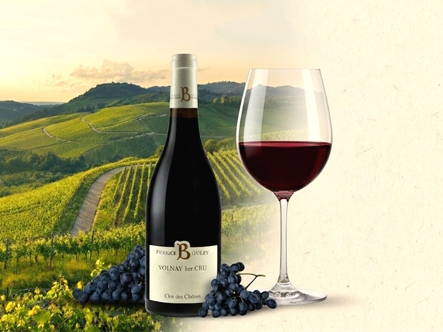 Domaine Pierrick Bouley