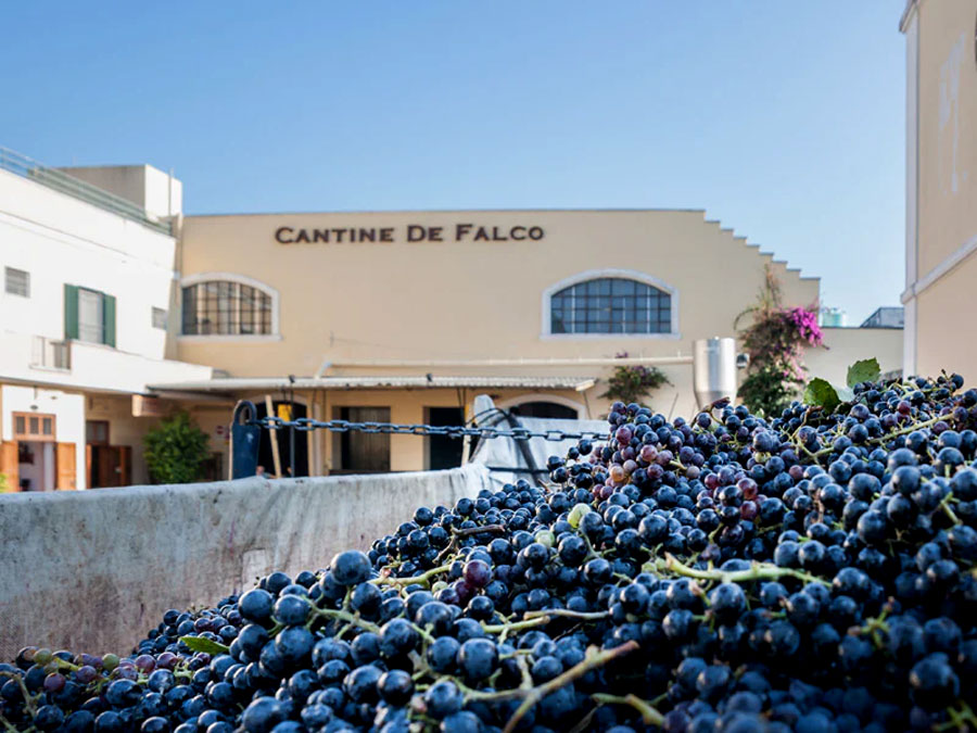 Cantine de Falco winery 