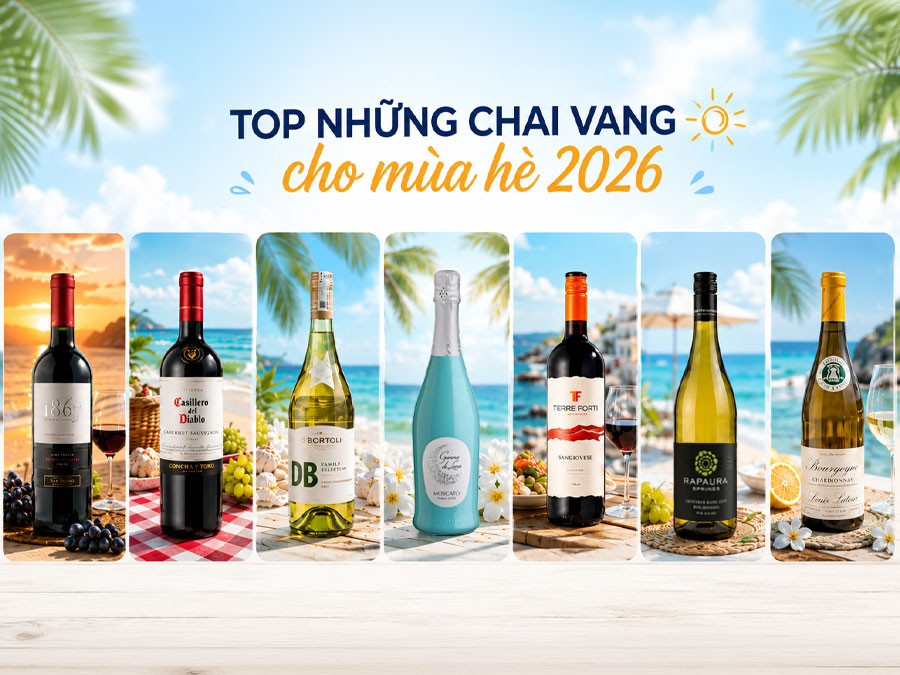 Top 7 chai vang cho mùa hè 2026 