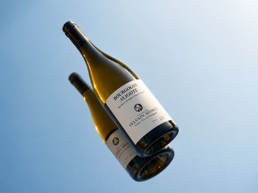 Domaine Sylvain Morey