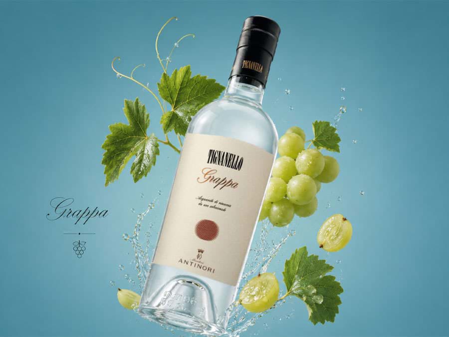 Rượu Grappa là gì Rượu Grappa là gì