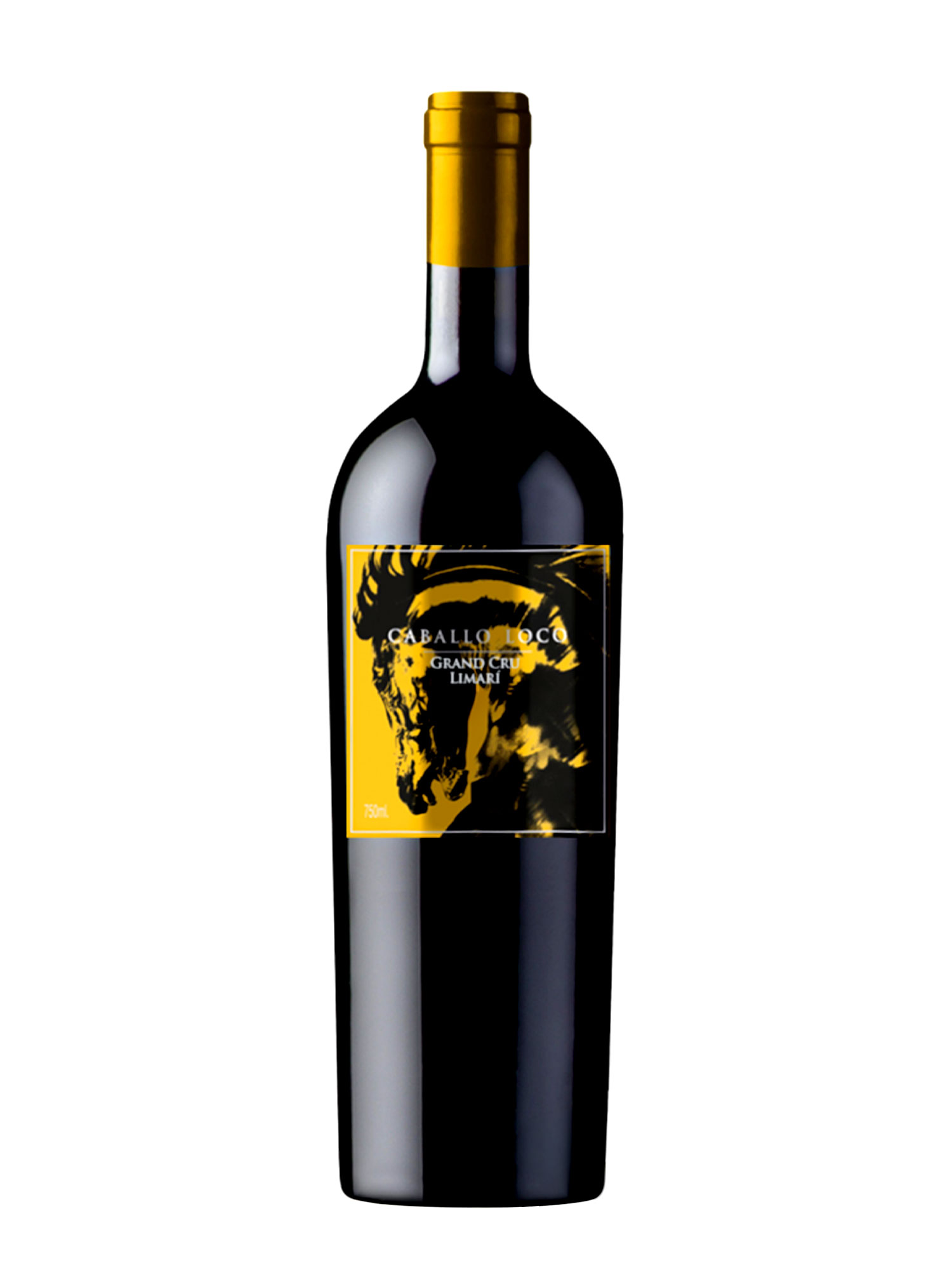 Vang Caballo Loco Grand Cru Limari