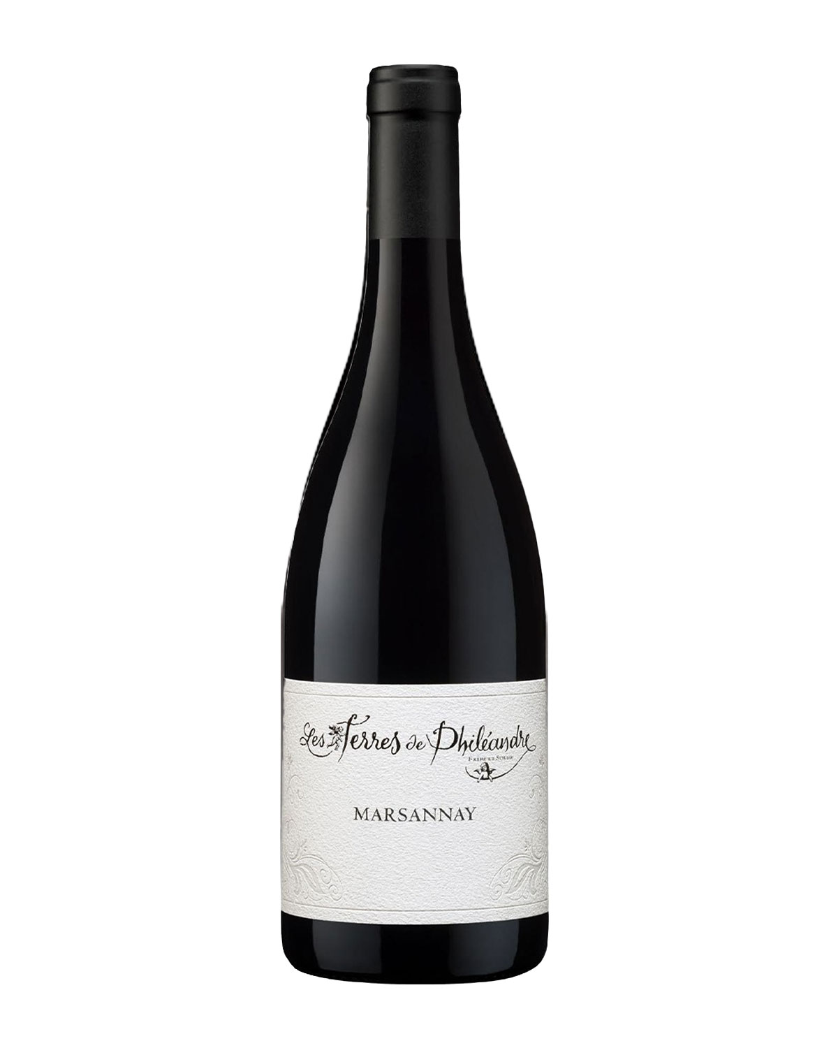 Vang Les Terres de Phileandre Marsannay 