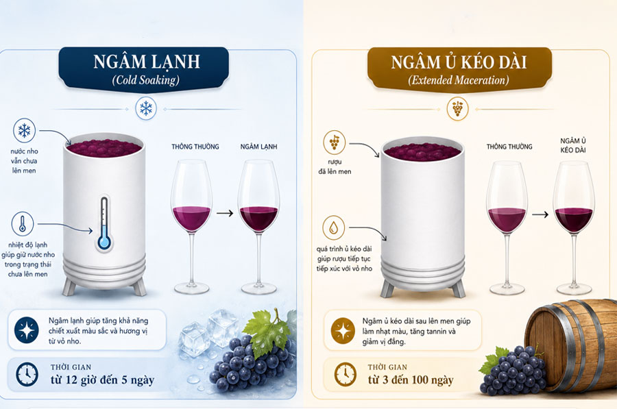 Kỹ thuật ngâm ủ/Extended Maceration trong sản xuất vang đỏ