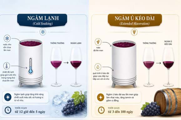Kỹ thuật ngâm ủ/Extended Maceration trong sản xuất vang đỏ