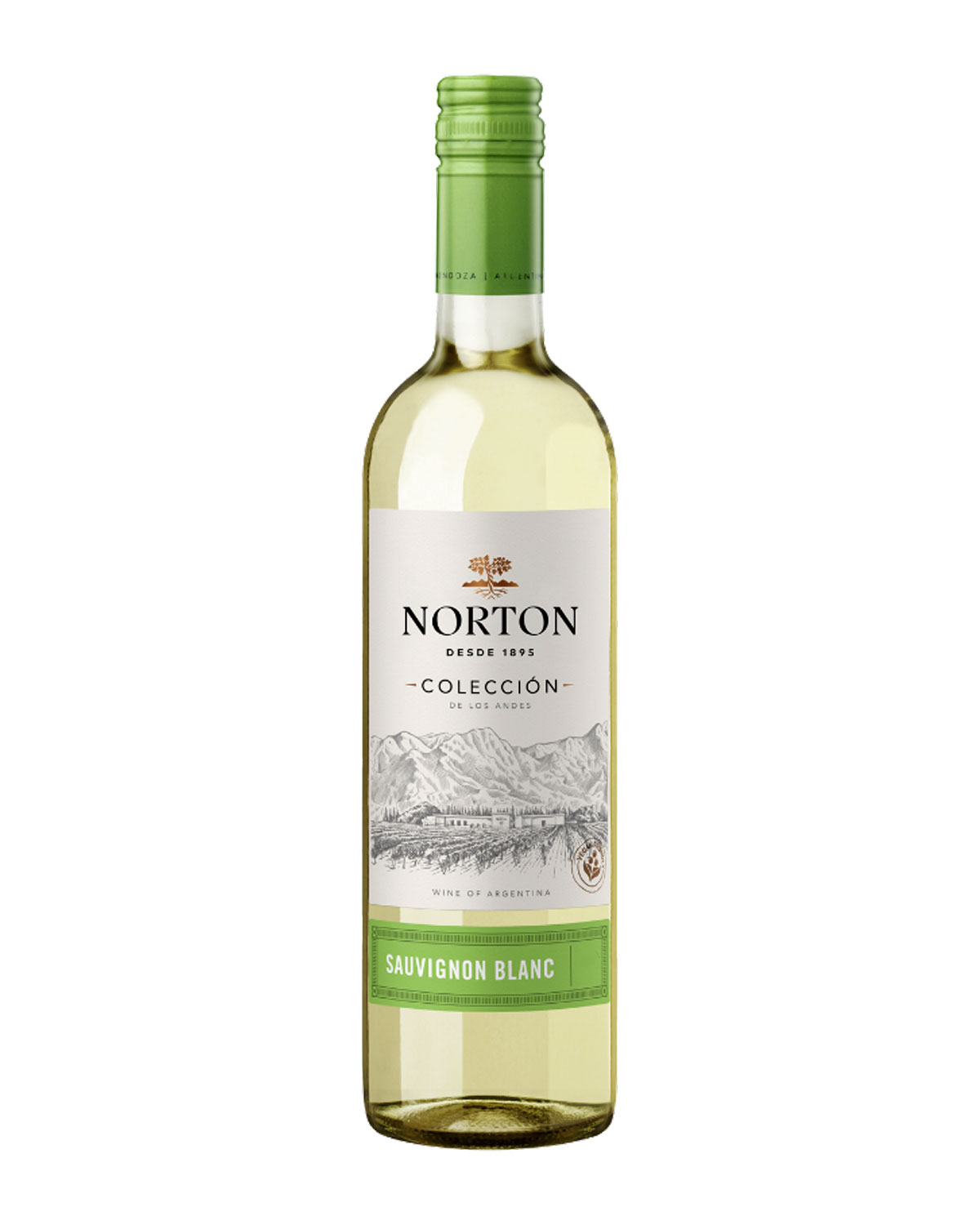 vang Norton Coleccion Sauvignon Blanc