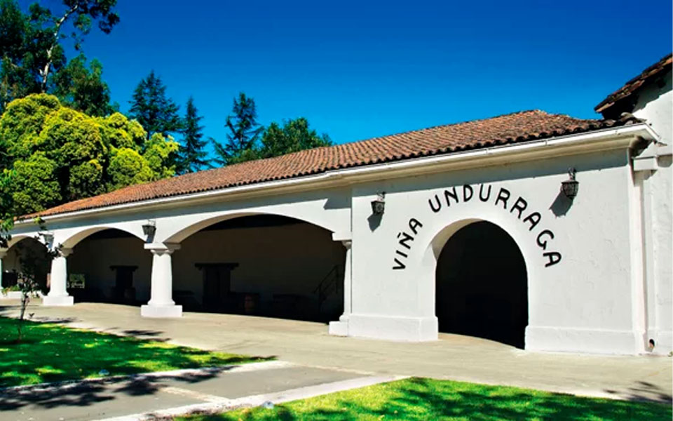 Vina Undurraga 