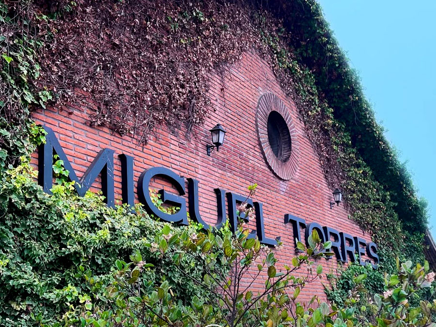 Miguel Torres Chile 