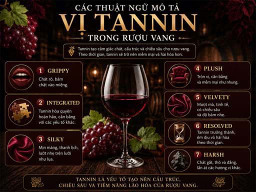 Các thuật ngữ mô tả vị Tannin trong rượu vang 