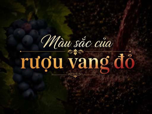 Màu sắc của rượu vang đỏ