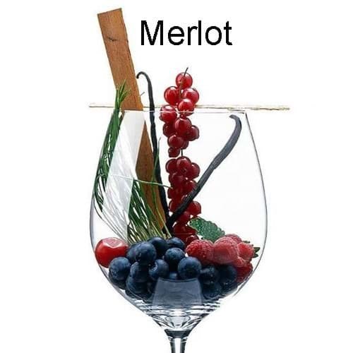 Tất cả những thông tin hữu ích mà bạn cần biết về Vang Merlot